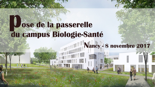 Campus Biologie-Santé, nov 2017 : Pose de la passerelle